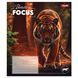 Школьная тетрадь 1Вересня 36 листов в клетку Beasts in Focus фото 2
