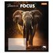 Школьная тетрадь 1Вересня 36 листов в клетку Beasts in Focus фото 5