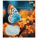 Тетрадь школьная 1Вересня 18 листов клетка Butterfly фото 4