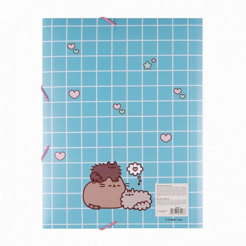 Папка на гумках А4 Yes Pusheen. Hearts фото