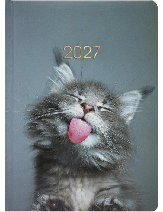 Щоденник датований 2027 Economix Кіт А5 лінія 336 сторінок, тверда обкладинка, сірий фото