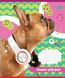 Тетрадь для нот А5 1Вересня Pets in headphone 12л фото 3