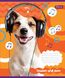 Тетрадь для нот А5 1Вересня Pets in headphone 12л фото 1