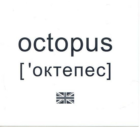 Картки міні 10*10 МОРСЬКІ ЖИТЕЛІ Укр (Зірка) фото