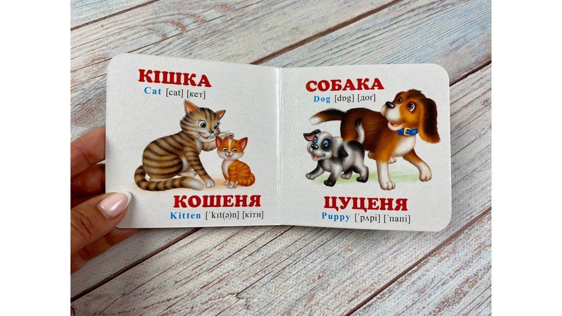Навколишній світ МАМИ ТАТИ МАЛЮКИ Укр (Пегас) фото