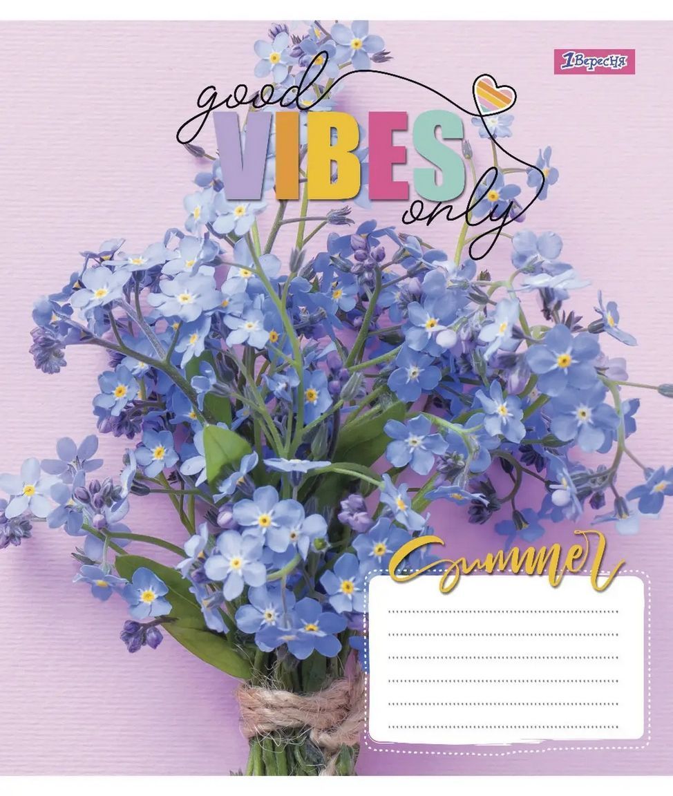 Зошит шкільний 1Вересня 48 аркушів лінія Vibes фото