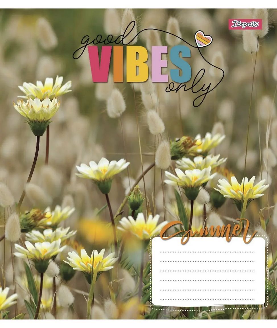 Зошит шкільний 1Вересня 48 аркушів лінія Vibes фото