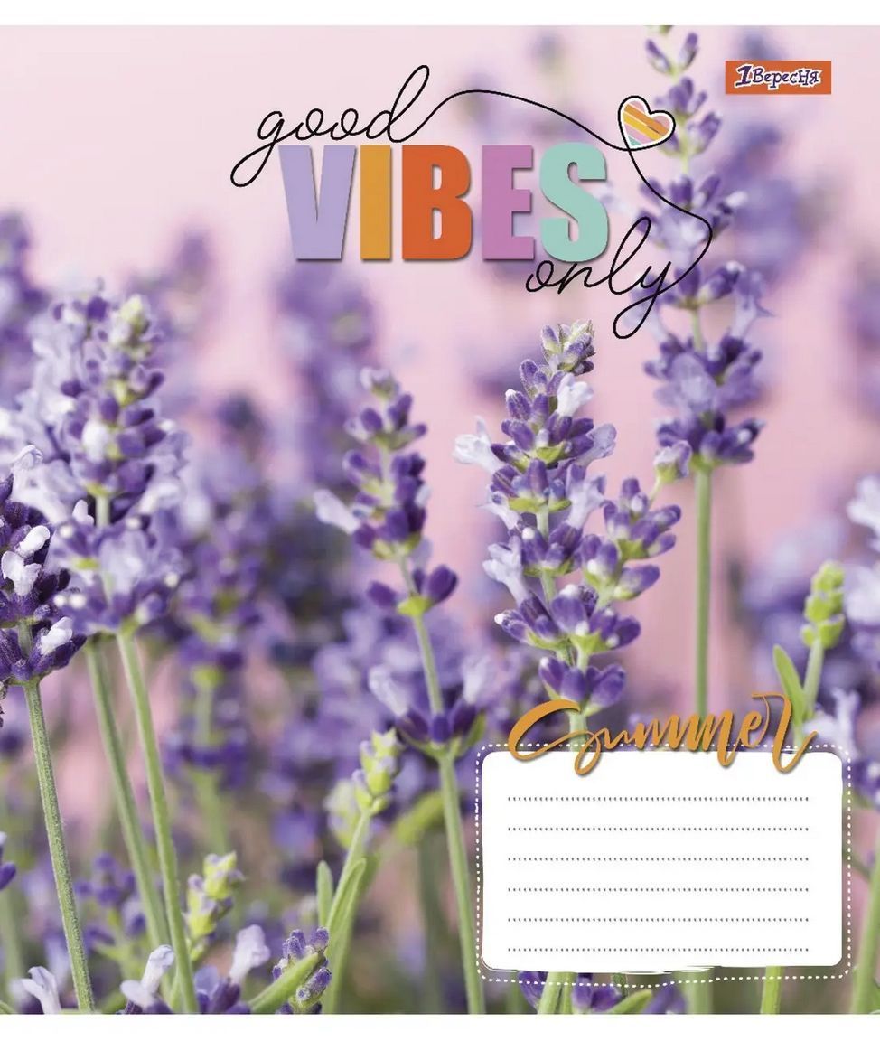 Зошит шкільний 1Вересня 48 аркушів лінія Vibes фото