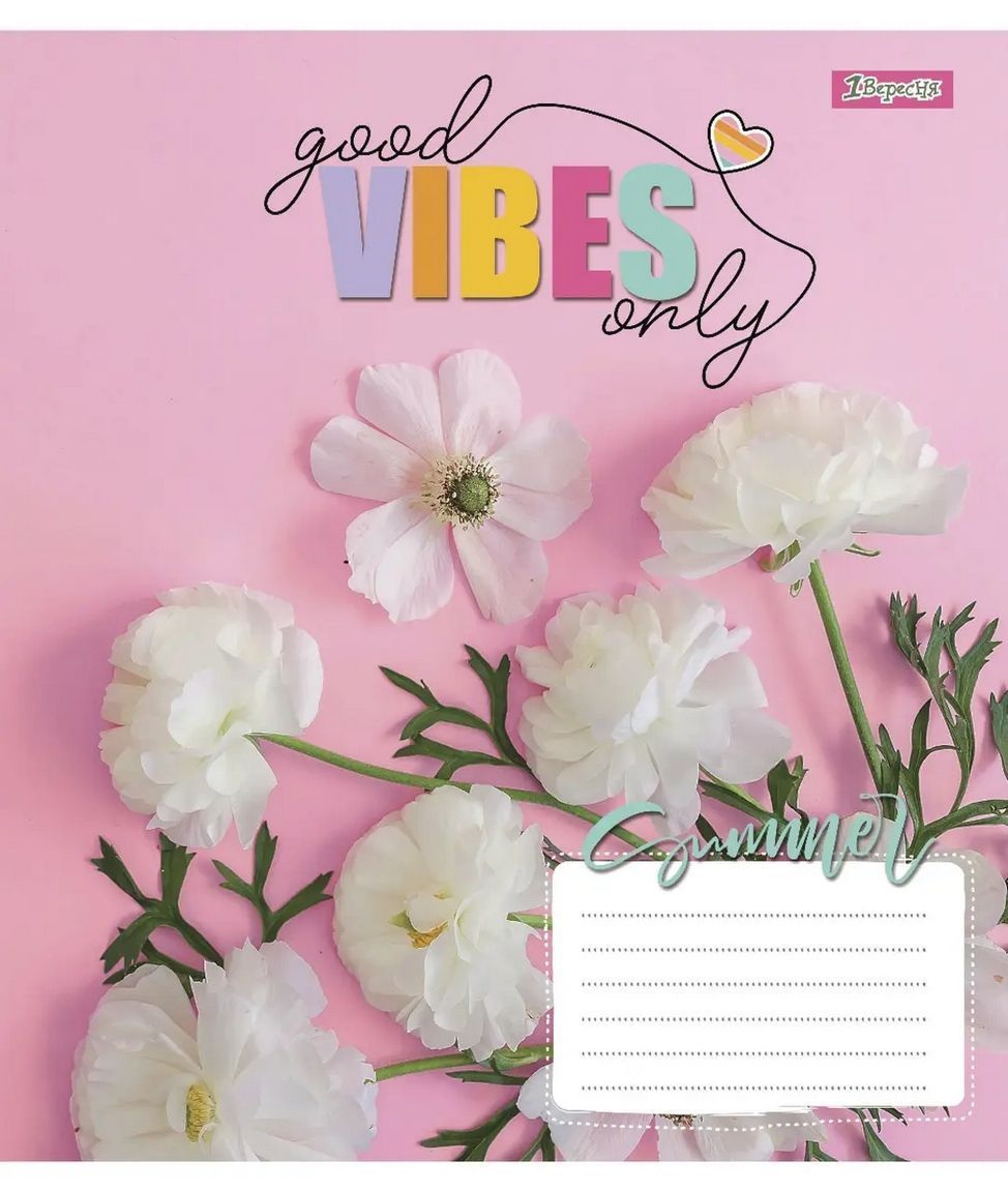 Зошит шкільний 1Вересня 48 аркушів лінія Vibes фото