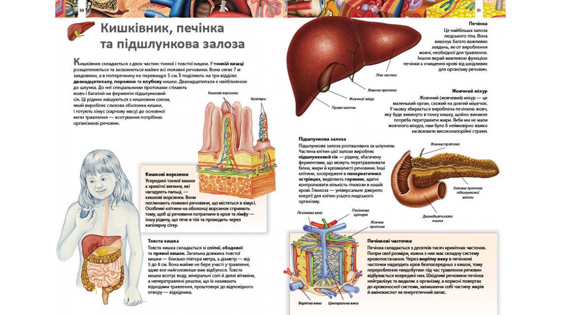Дитяча енциклопедія ТІЛО ЛЮДИНИ Укр (Пегас) фото