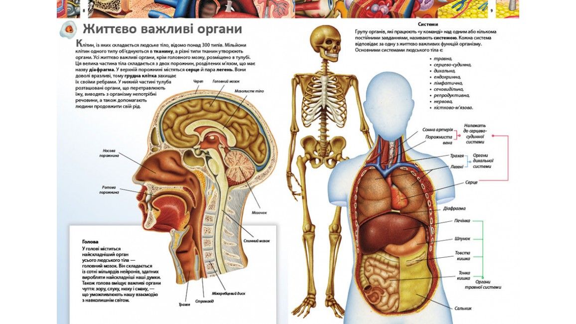 Дитяча енциклопедія ТІЛО ЛЮДИНИ Укр (Пегас) фото