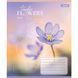 Тетрадь школьная 1 сентября 36 листов линия Tender Flowers фото 6
