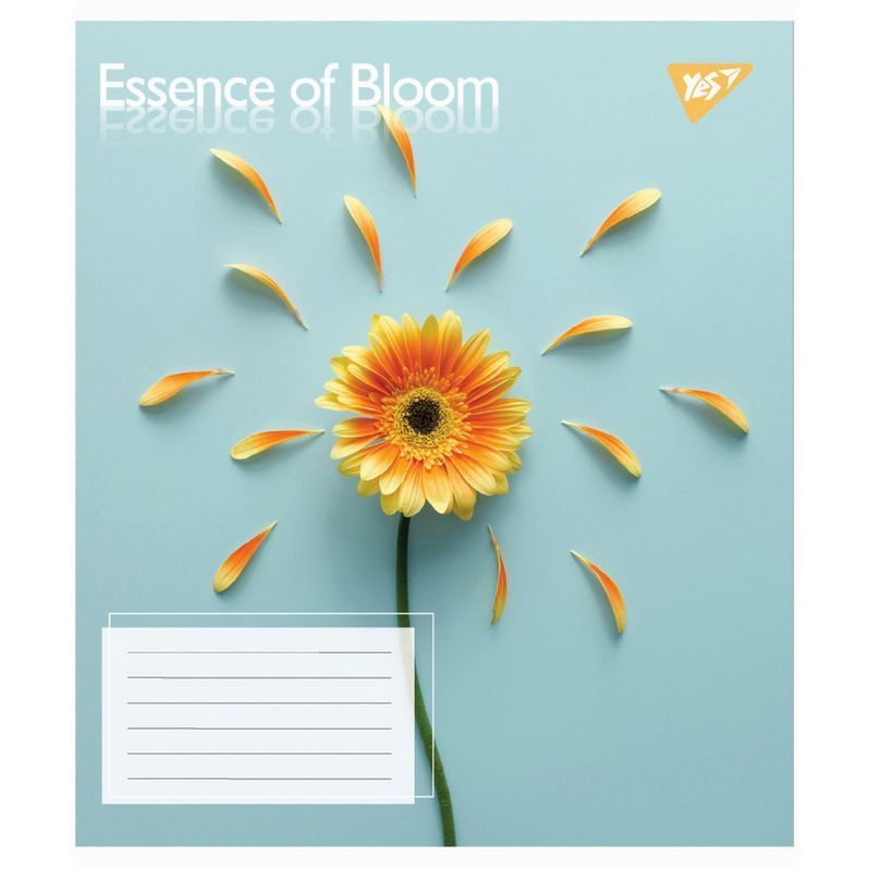 Зошит шкільний Yes 36 аркушів лінія Essence of Bloom фото