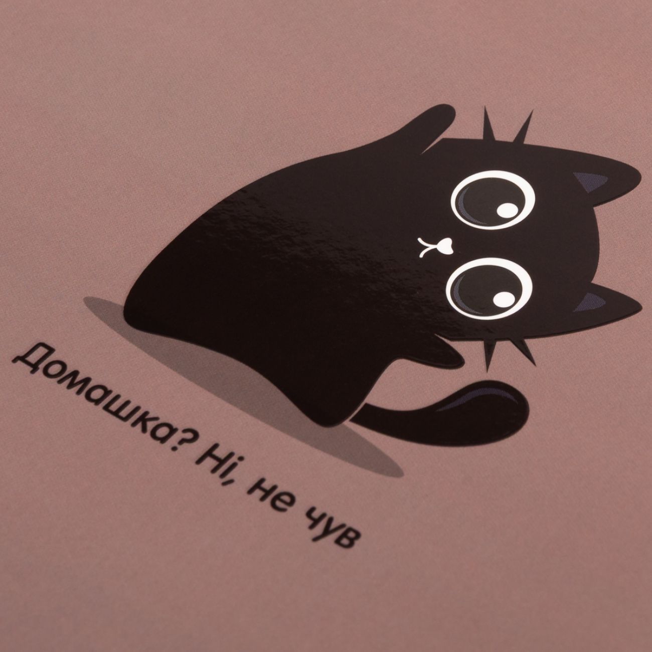 Щоденник шкільний Yes Blacky інтегральна обкладинка фото