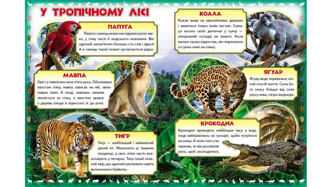Моя перша книга ПРО ДИКИХ ТВАРИН А4 Укр (Пегас) фото