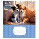 Зошит шкільний 1Вересня 12 аркушів коса лінія Pets Frinds фото 5
