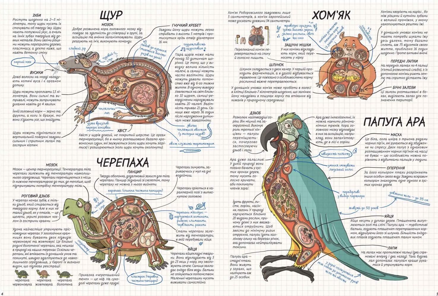 Як це працює? ТВАРИНИ Нікола Кухарська Укр (Школа) фото