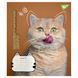 Зошит шкільний Yes 12 аркушів лінія Adventurous cats фото 2