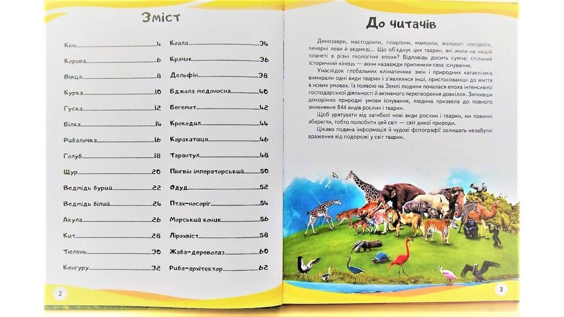 Енциклопедія у запитаннях та відповідях МАМИ ТА МАЛЮКИ (ведмідь) Укр (Пегас) фото