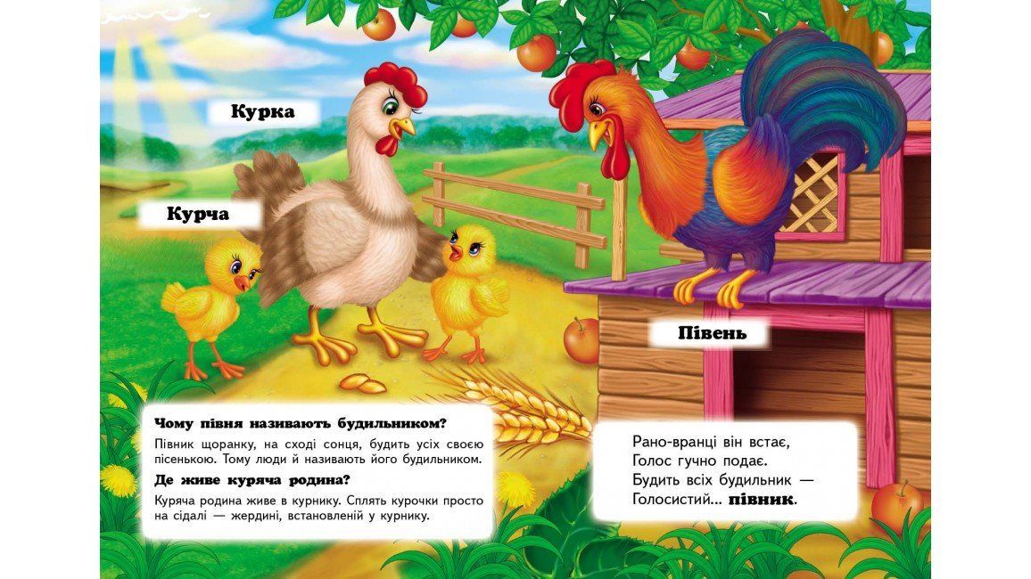 Книжка-картонка ХТО ЦЕ? Свійські А5 Укр (Пегас) фото