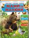 Енциклопедія у запитаннях та відповідях МАМИ ТА МАЛЮКИ (ведмідь) Укр (Пегас) фото 1
