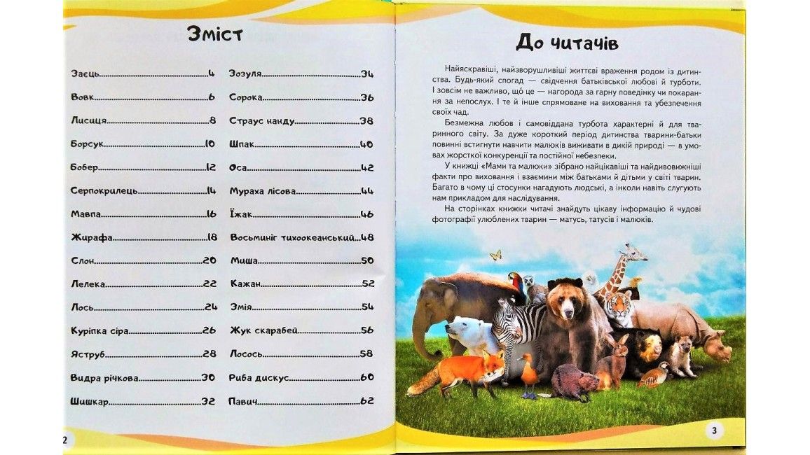 Енциклопедія у запитаннях та відповідях МАМИ ТА МАЛЮКИ (тигр) Укр (Пегас) фото