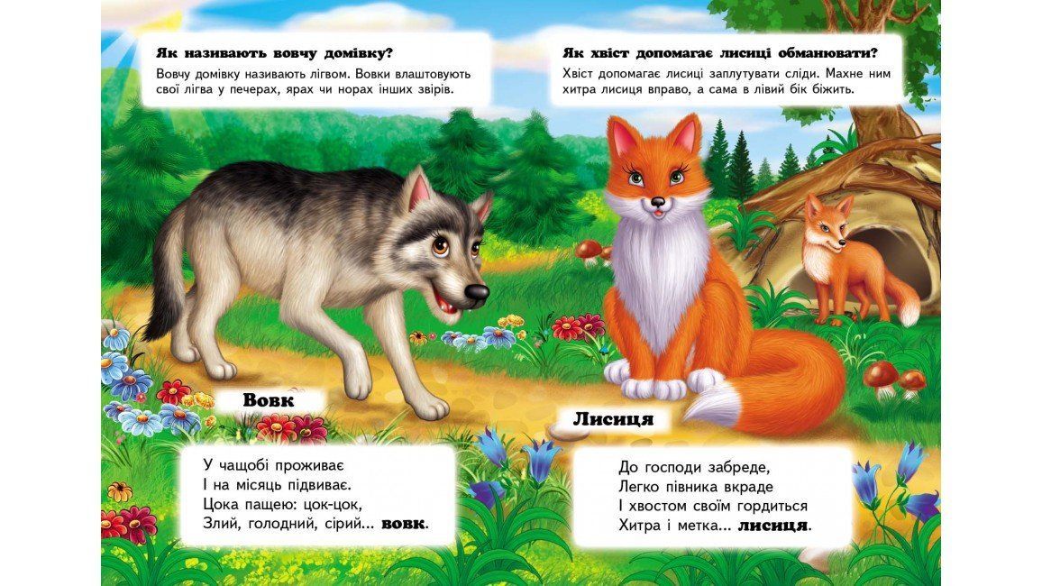Книжка-картонка ХТО ЦЕ? У лісі А5 Укр (Пегас) фото