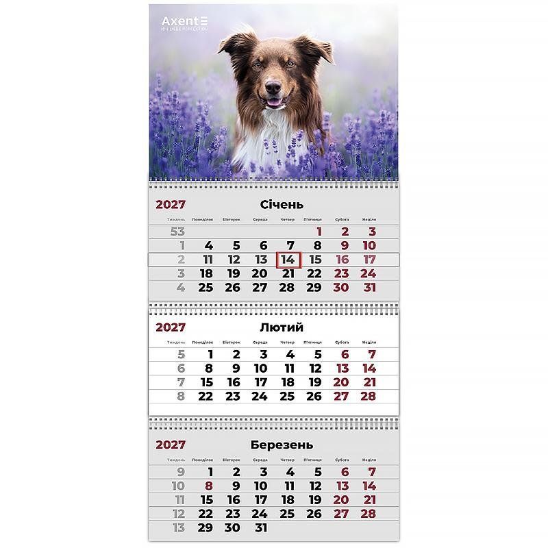 Календарь настенный на пружине 2027 квартальный Axent Dogs 1 29,7*63см 3 пружины фото