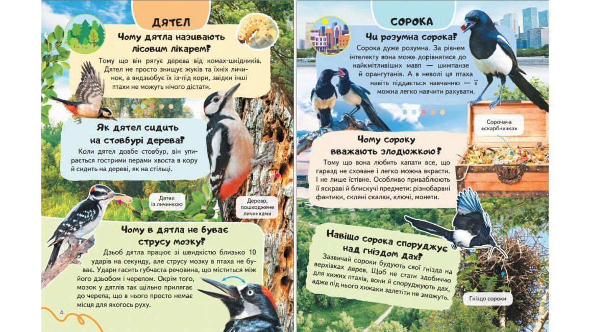 Цікава енциклопедія у подарунок розумійкам ПТАХИ Укр (Пегас) фото