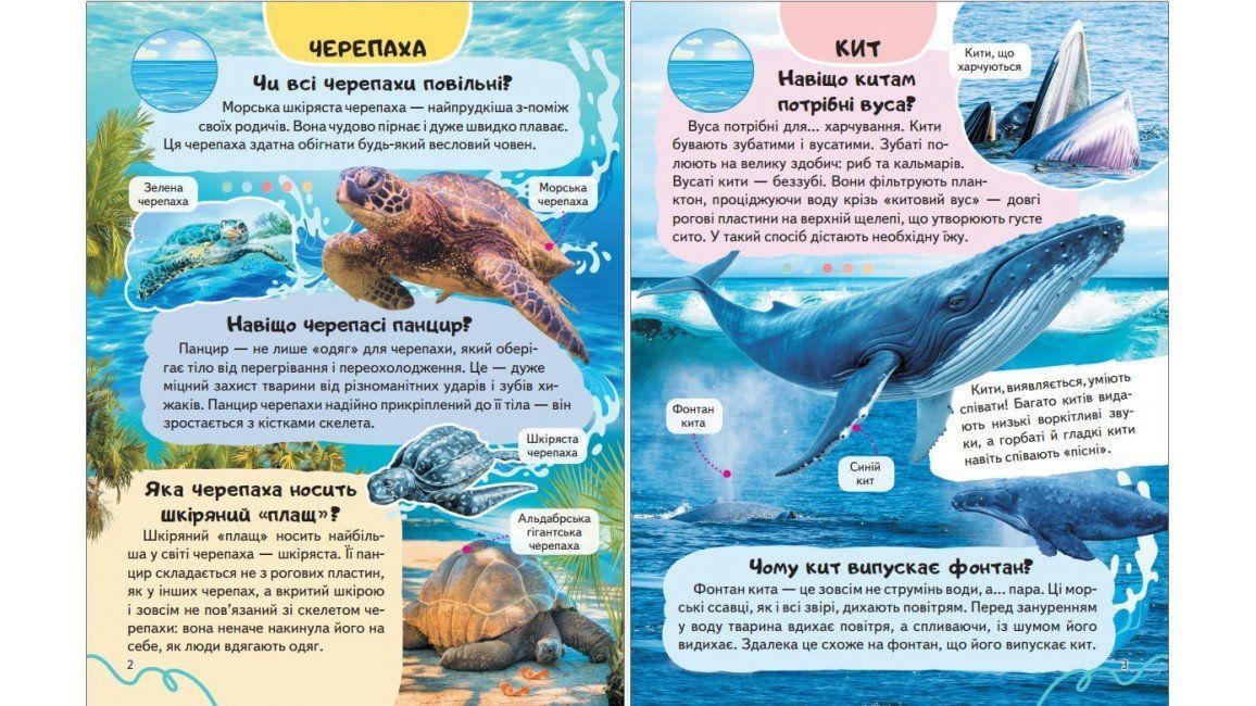 Цікава енциклопедія у подарунок розумійкам ТВАРИНИ ВОДНОГО СВІТУ Укр (Пегас) фото