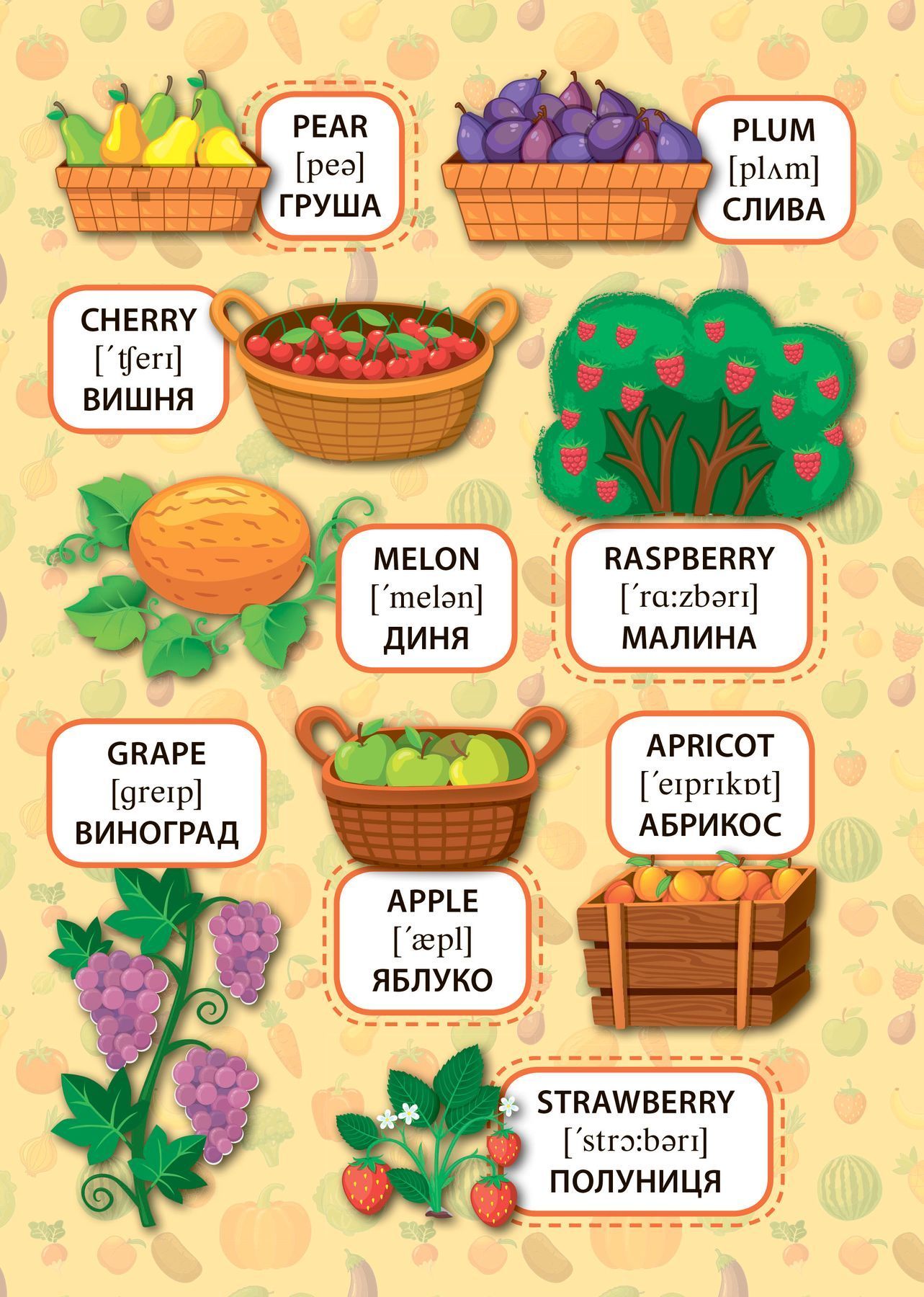 Перші слова. Панорамка з наліпками ФРУКТИ ТА ОВОЧІ Fruit and Vegetables Укр (Ула) фото