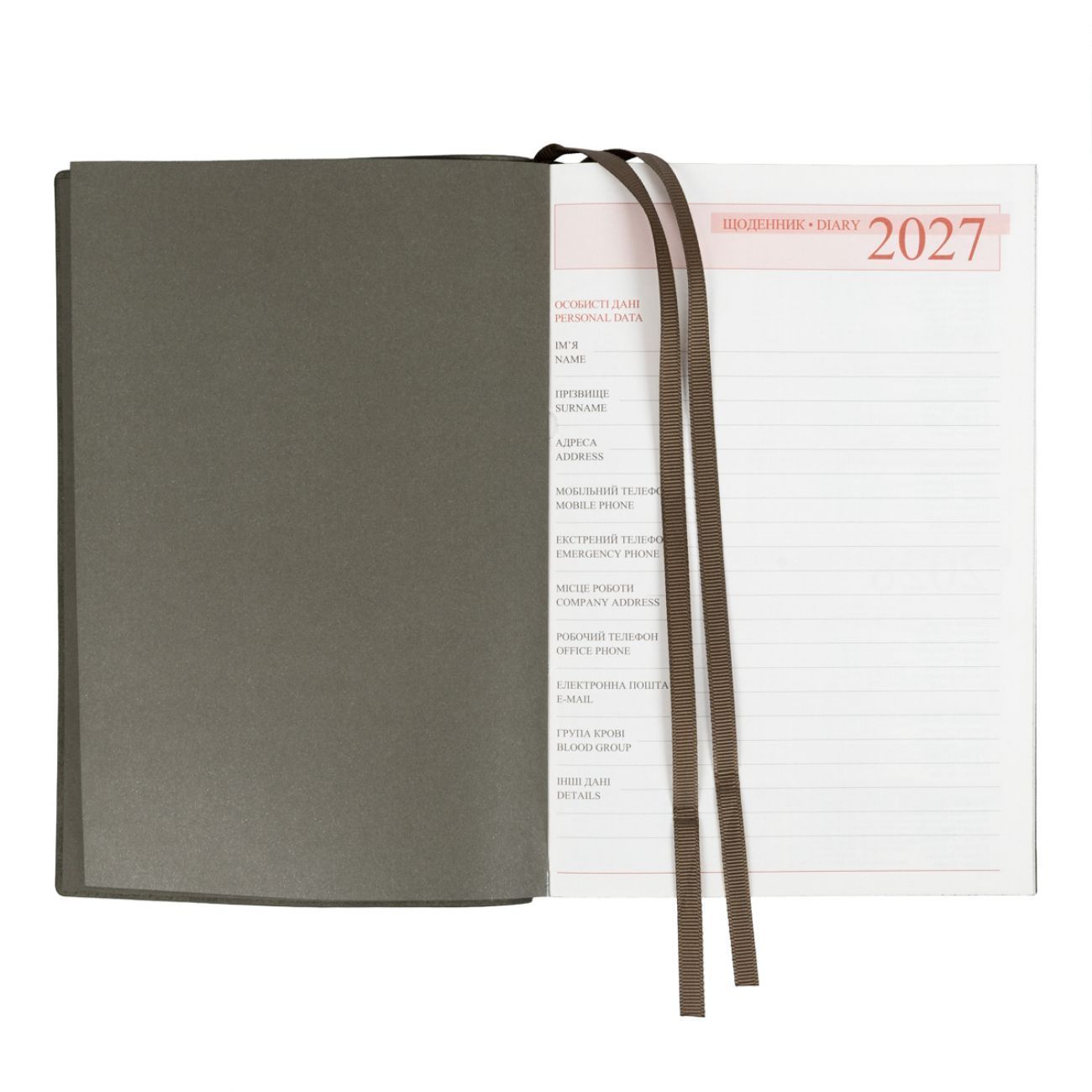 Щоденник датований 2027 Leo Planner Velvet А5 лінія 368 сторінок, м'яка обкладинка, темно-зелений фото