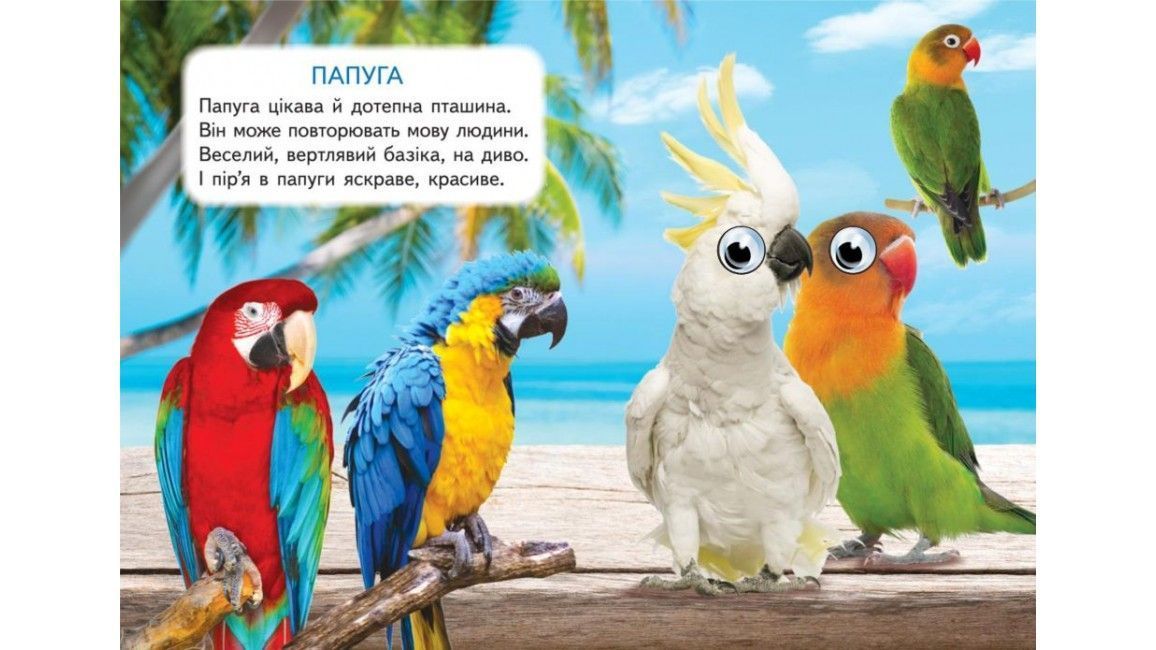 Цікаві книжки з оченятами ХАТНІ УЛЮБЛЕНЦІ Укр (Пегас) фото