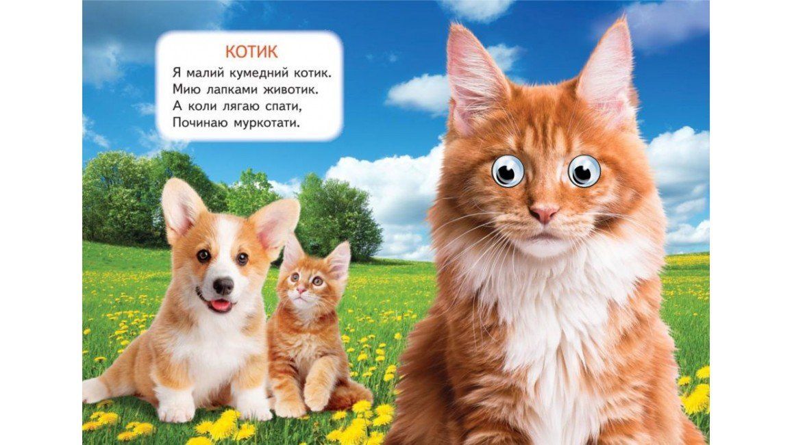 Интересные книги с глазками ДОМАШНИЕ ЛЮБИМЦЫ Укр (Пегас) фото