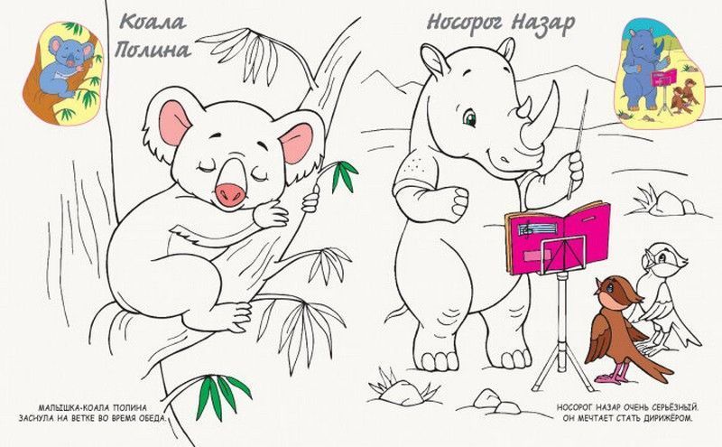 Моя раскрасочка В ЖАРКИХ СТРАНАХ 16 стор., 22*27см Рос (Ранок) фото
