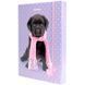 Папка для тетрадей картонная на резинке B5 Kite Studio Pets фото 2