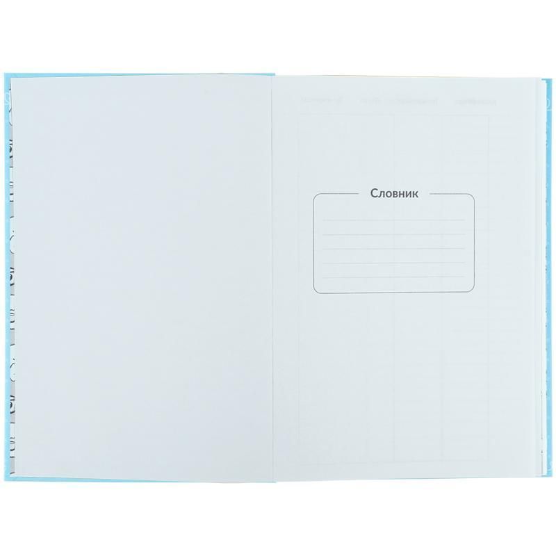 Словарь для записи иностранных слов Kite Cinnamoroll А5 60л фото