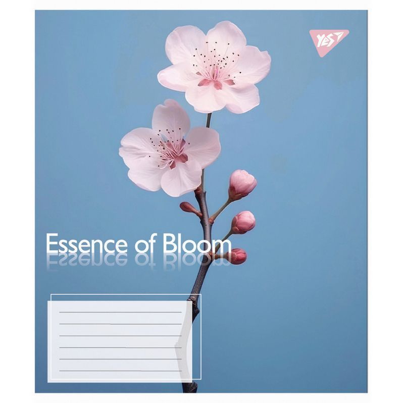 Тетрадь школьная Yes 48 листов линия Essence of Bloom фото