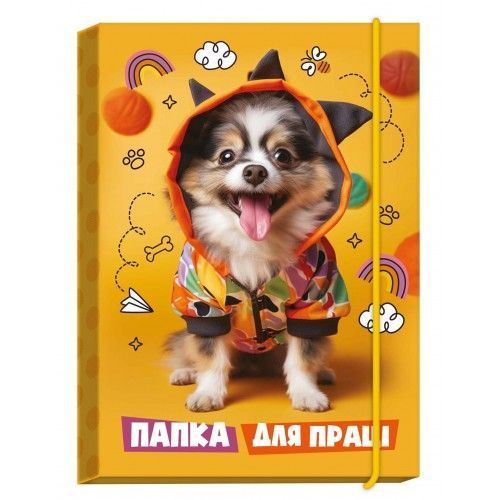 Папка для праці картонна на гумці А4 Рюкзачок фото