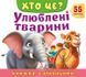 Книжка з віконцями Улюблені тварини 55 віконець Укр (Пегас) фото 1